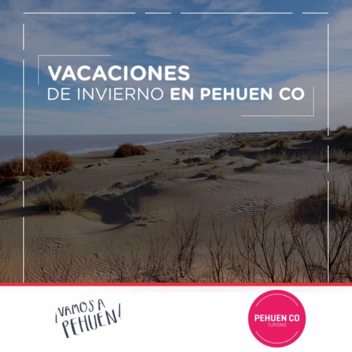 invierno-pehuen