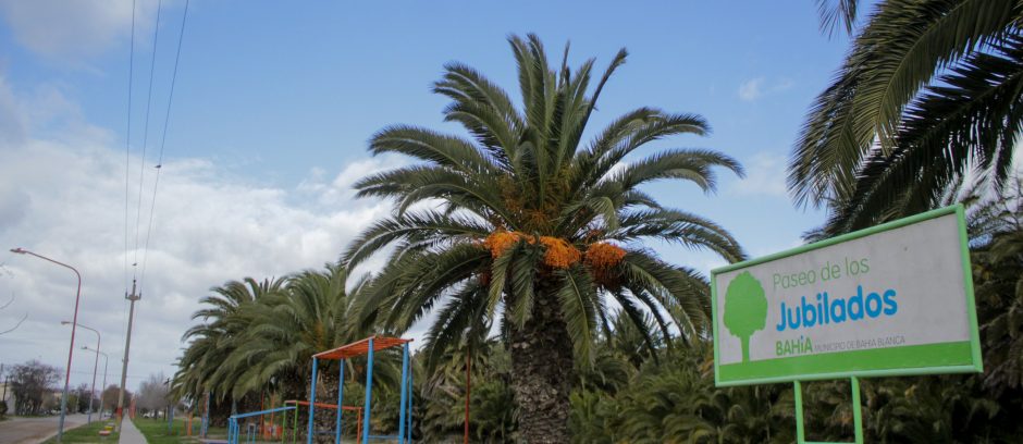 PASEO DE LOS JUBILADOS