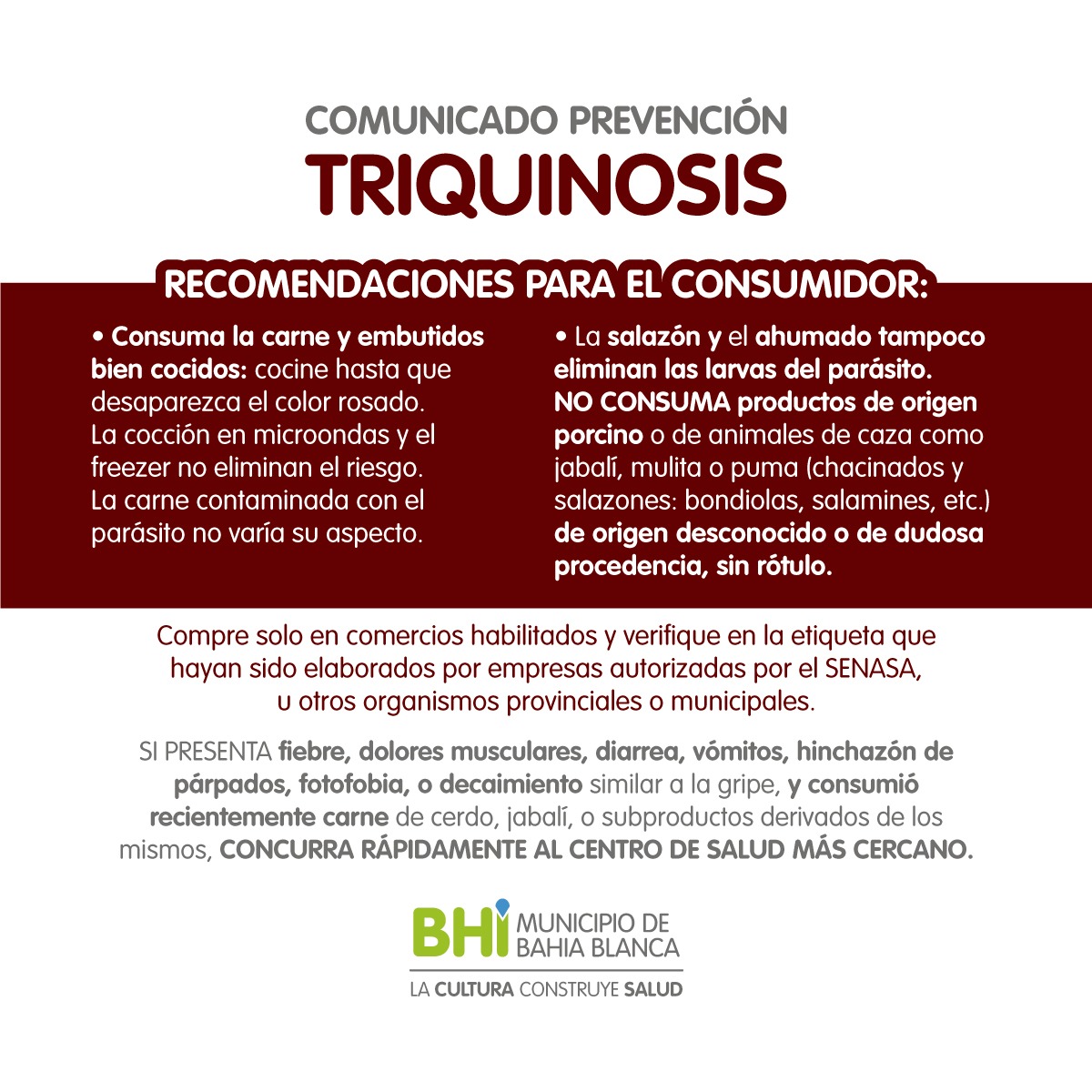 triquinosis2