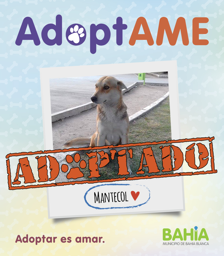 AdoptAME | Municipio de Bahía Blanca (Buenos Aires, Argentina)