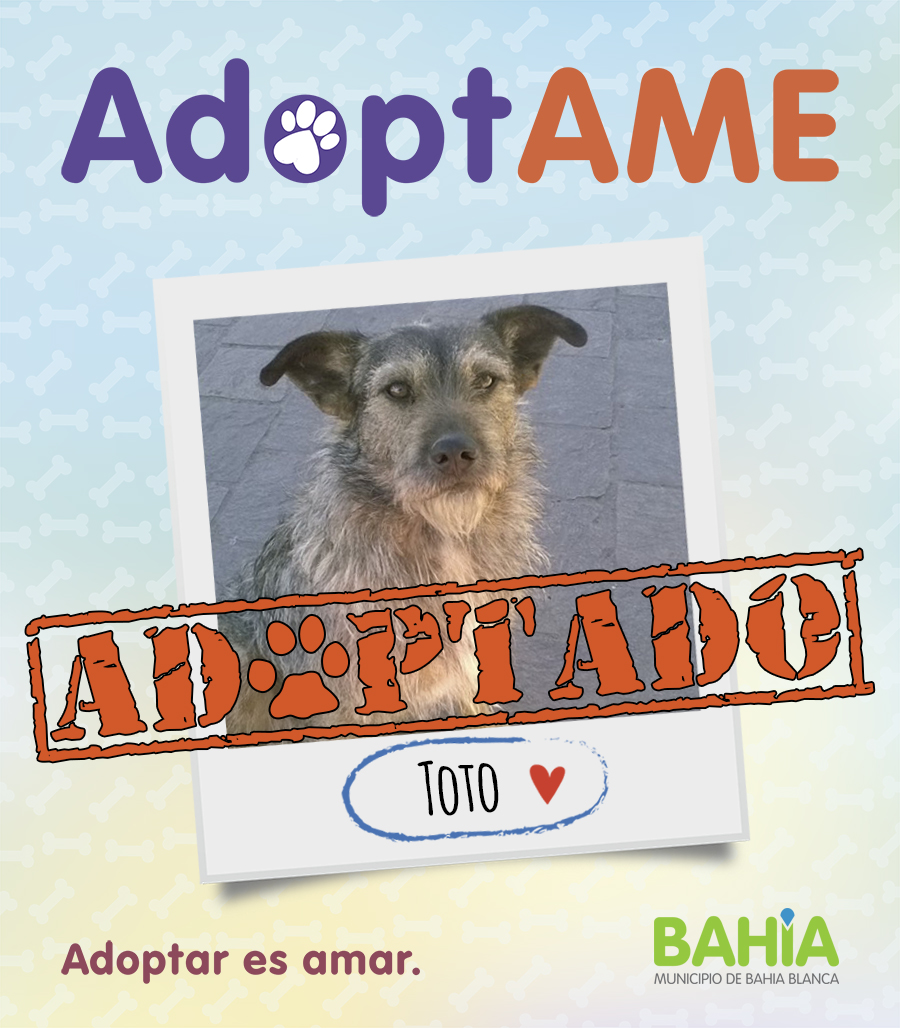 AdoptAME | Municipio de Bahía Blanca (Buenos Aires, Argentina)