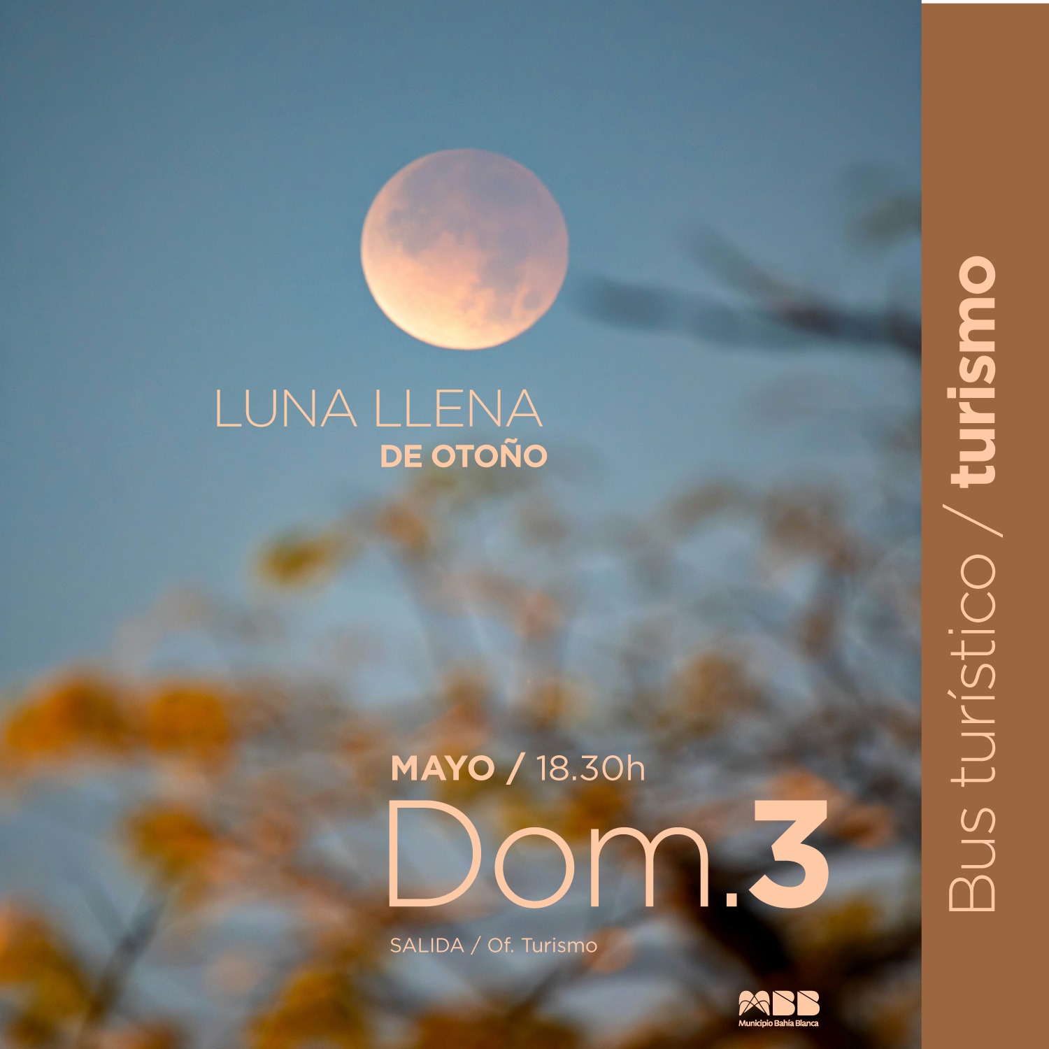 WhatsApp Image 2026-04-27 at 14.38.37