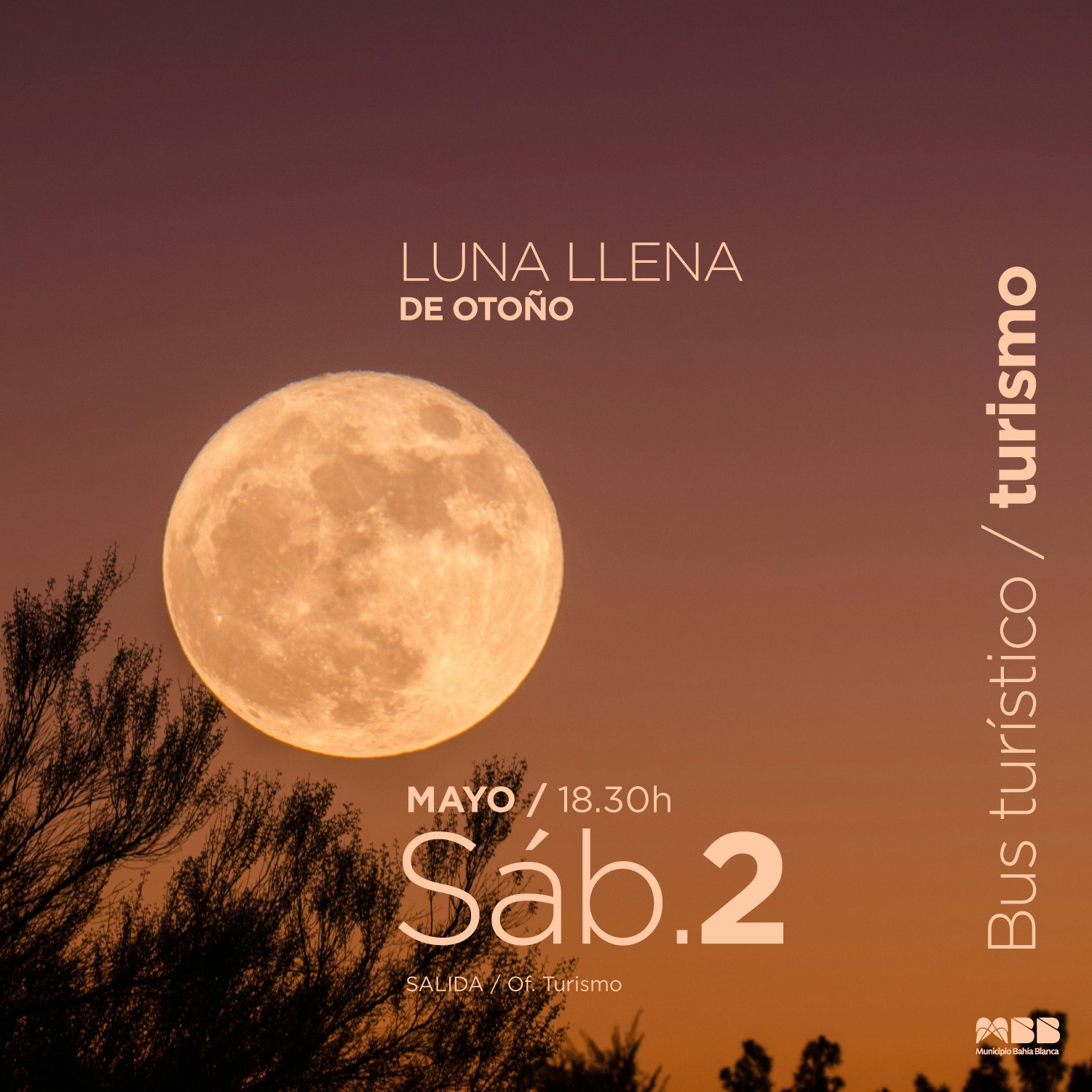 WhatsApp Image 2026-04-27 at 14.38.38