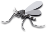 mosquito