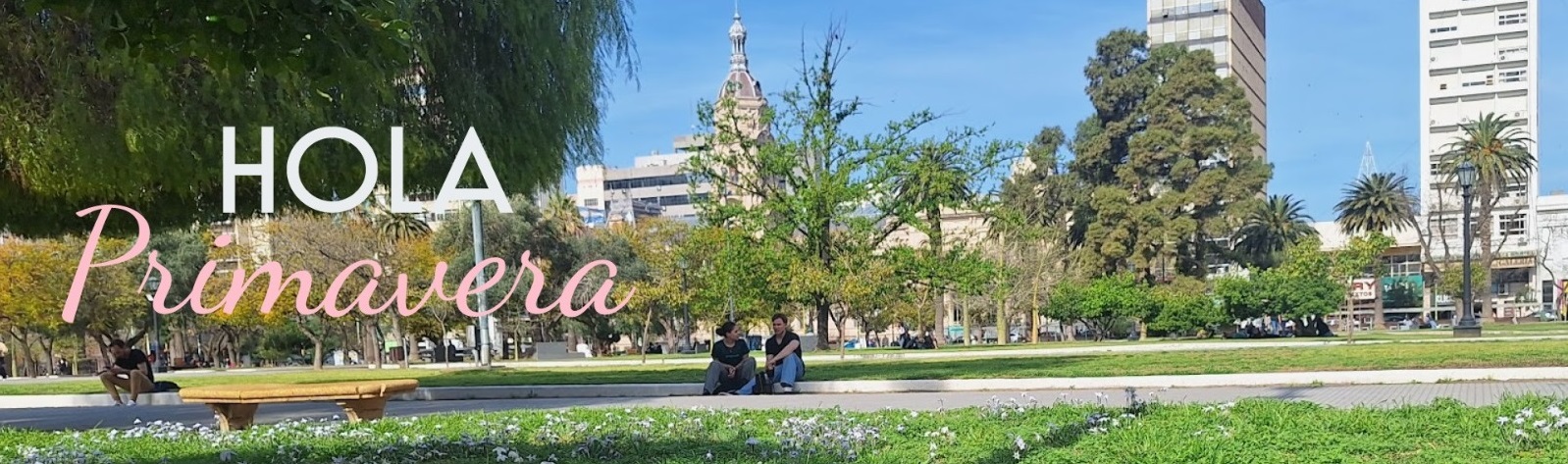 WhatsApp Image 2025-09-22 at 15.15.07