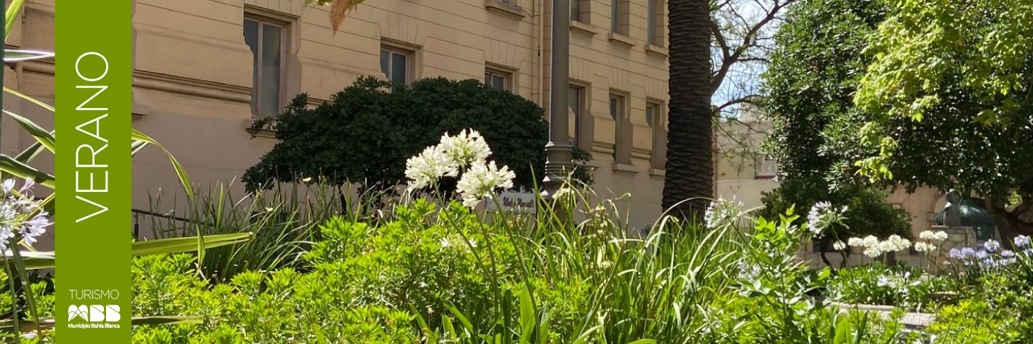 WhatsApp Image 2025-12-26 at 12.11.23